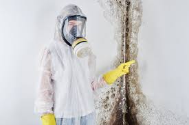 Reliable Indian River Shores, FL Mold Removal & Remediation Solutions